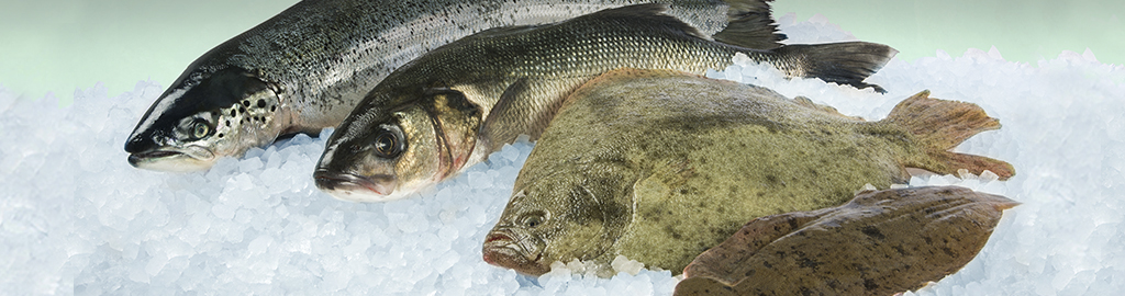 Poissons et crustacés frais Lehnherr